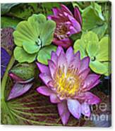 Lilies No. 28 Canvas Print