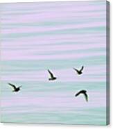 Livin Free #birds #bird #flying #lake Canvas Print
