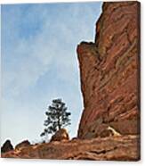 Lone Tree At Red Rocks Canvas Print