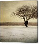 Lonely Tree Canvas Print