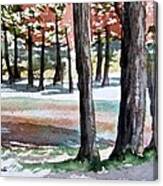 Lost Maples Canvas Print