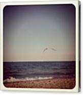 Love To Love Ya... #beach #bird #gull Canvas Print