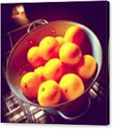 Mandarin #oranges Still Life / Canvas Print