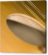 Mandolin Core Canvas Print