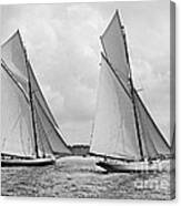 Mayflower And Galatea Start America's Cup 1886 Canvas Print