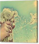 Millions Of Wishes... Canvas Print