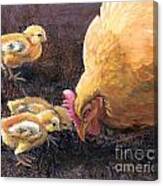 Miss Peck With Chicks Canvas Print
