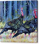 Mississippi Turkeys Canvas Print