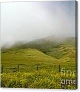 Mist Of The Hills Canvas Print