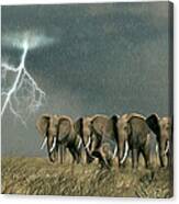 Monsoon On The Serengeti Canvas Print