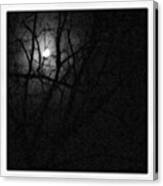 Moon And Branches Canvas Print