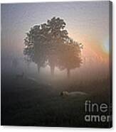 Morning Fog Canvas Print