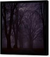 Morning Fog In St. James Canvas Print