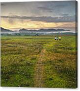 Morning In A Countryside Canvas Print