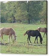 Mowing The Lawn Canvas Print