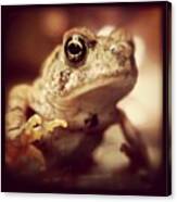 My First Macro Vertebrate! Canvas Print