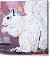 My White Squirrel Canvas Print