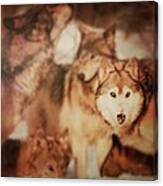 My Wolves Canvas Print