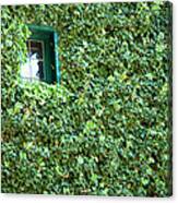 Napa Wine Cellar Window Canvas Print