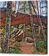 Natural Bridge Canvas Print