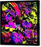 #nature #flowers #trip #instagram Canvas Print