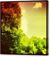 #nature #red #green #driving #tree #sky Canvas Print