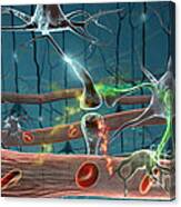 Neurons Canvas Print