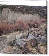 New Mexico Lanscape Canvas Print