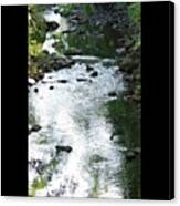 #newjersey #randomfind #water #creek Canvas Print