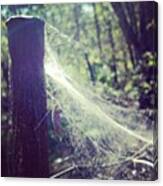 October Spider Web Canvas Print
