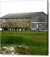 Old Cannery Oysterville Canvas Print