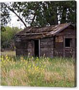 Old Shed Canvas Print