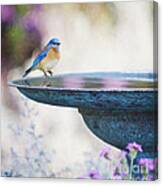 Once Upon A Blue Fountain Canvas Print