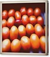 One Of A Kind... #tomatoes #vegetables Canvas Print