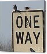 One Way Canvas Print