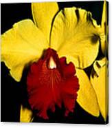 Orchid 9 Canvas Print