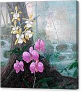 Orchid Wilderness Canvas Print