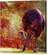 Ostrich Ii Canvas Print