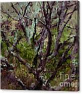 Painted Tree Canvas Print