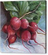 Painting Of Radishes Canvas Print