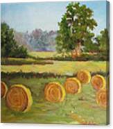 Painting Of Round Hay Bales Canvas Print
