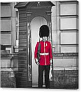 Palace Guard Canvas Print