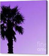 Palm With Violet Sky Canvas Print