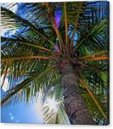 Palms Up Canvas Print