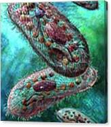 Paramecium Canvas Print