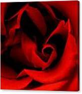 Photograph Of A Red Rose Canvas Print