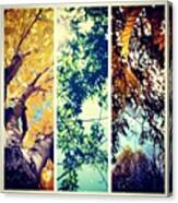 #picstitch #idaho #trees #collage Canvas Print