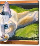 Picture Purrfect Canvas Print