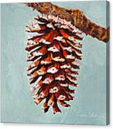 Pine Cone Canvas Print