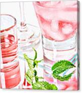 Pink Cocktails Canvas Print